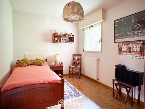 photo no. 11