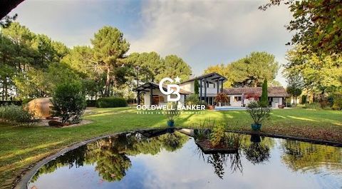 Coldwell Banker Immoba Realty Arcachon offers you in SANGUINET : Front line - Magnificent property of 230 square meters, sits in the heart of more than 1.5 ha of land, very close to the lake of Sanguinet (40). Full documentation and other pictures on...