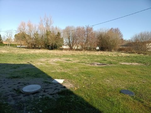 photo no. 1