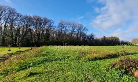 Venez découvrir ce terrain de 2600m² situé sur la superbe commune de Labastide d'Armagnac. Idéalement situé à seulement 10 minutes de Cazaubon/ Barbotan les Thermes et 30 minutes de Mont de Marsan, ce terrain allie tranquillité et accessibilité. Cara...