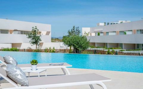 Duplex in Torrevieja, Costa Blanca, AlicanteIt is a private residential consisting of 2 and 3 bedroom bungalows, located in the Lago Jardín II urbanization, in Torrevieja. It has a cozy central communal area, with a communal garden and pool. You can ...