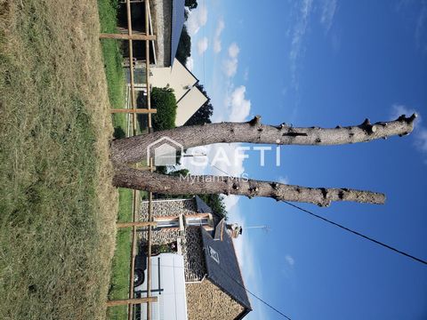 photo no. 6