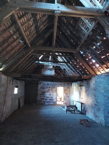 photo no. 5