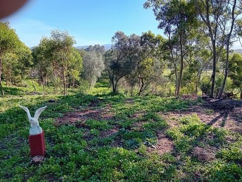 Agricultural land located in Cabeço de Águia (Rogil), a short distance from the National Road 120 and 6 km from the center of Aljezur. The 11,640m² plot includes eucalyptus and pine trees on sandy soil and has access to mains water and electricity. W...