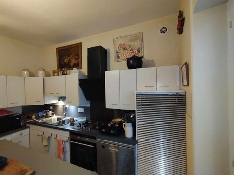 photo no. 9