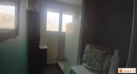 photo no. 6