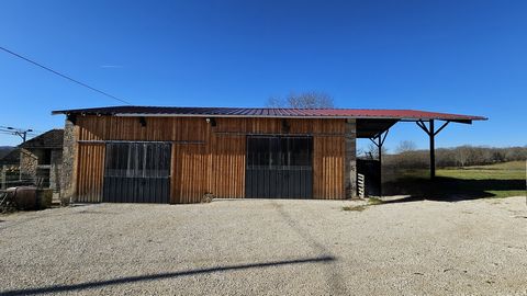 photo no. 12