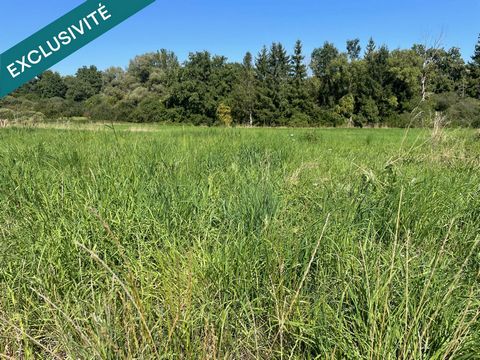 À vendre – Terrain viabilisé de 9,67 ares