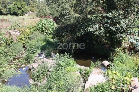 Identificação do imóvel: ZMPT516912 Welcome to this enchanting land located on Isqueiro Street in Avidos. Although not intended for construction, this land possesses unique characteristics that make it an unmissable opportunity! Imagine yourself surr...