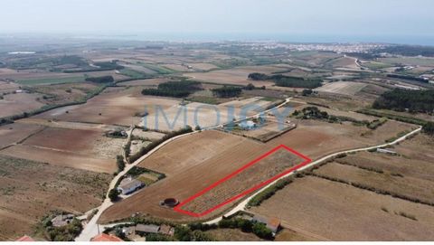Land with 4080m2 and with sea view, situated in the quiet Village of White Couples, Parish of Atouguia da Baleia, Peniche, with the possibility of building 1 detached villa with gross area of 200m2, swimming pool and garage, 5min access to IP6, balea...