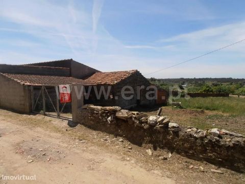 Excellent flat land with an area of 4500 m2, composed of fruit trees, vines, well and borehole. Rural construction for agricultural support. Good access. A few meters from the tarmac road. Excluded from the SCE, under Article 4 of Decree-Law No. 118/...