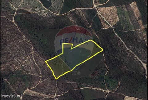 Land for sale at €37,000   I present you a plot of land for sale with an area of 37,000m2, with feasibility of construction, subject to the appreciation of the Municipality of Sardoal. The municipality of Sardoal is one of the northernmost municipali...