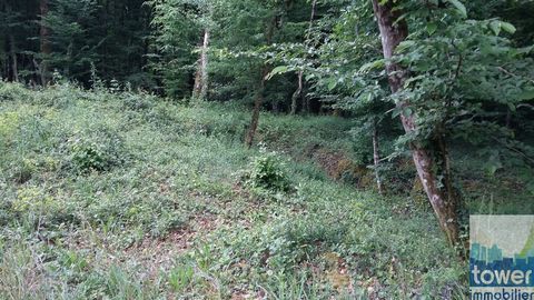 Very wooded building land located in an eco-subdivision, which is only 11 minutes from La Rochefoucauld on the south side, towards Angoulême. With its entrance to the North, the plot which is relatively flat has an area of 791 m2, for a floor area of...