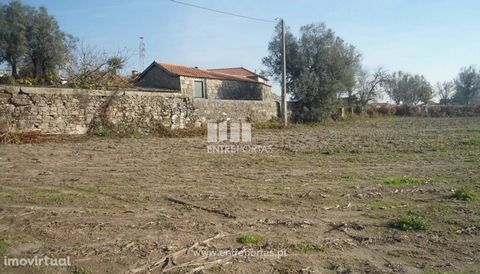 Land Sale, Vila Fria, Viana do Castelo. For construction, divided into 2 articles with about 4825 m2 each. Good location. Ref.: VCC12218 FEATURES: Land Area: 9 649 m2 Area: 9 649 m2 Useful Area: 9 649 m2 Energy Efficiency: Exempt ENTREPORTAS Founded ...