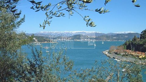 DESCRIPTION Property situated between the Gulf of Poets and the Cinque Terre, in Palmaria Isle, in front of Portovenere, on the sea with sea view, ground of 20.000 sqm, all cultivated with olive and fruit trees, there is only a little part of wood. T...
