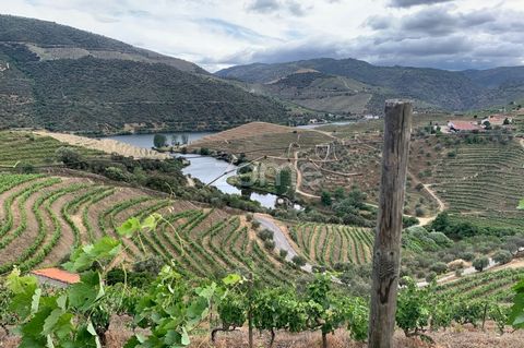 Identificação do imóvel: ZMPT558513 O terreno localizado no Vale do Douro com produção de vinho do Porto, tem uma área total de 27.687m2, este terreno abrange três propriedades distintas proporcionando vistas para o Rio Douro. Uma característica dest...