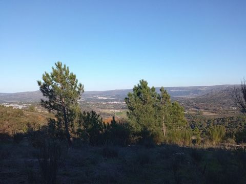 FARM ORIENTATION TO THE EAST WITH 1,731 HECTARES, stone house to rehabilitate, water mines and well, forest area and panoramic views The 'Quinta dos Seixais' with a total area of 17,310 square meters, is located on the outskirts of a small village in...