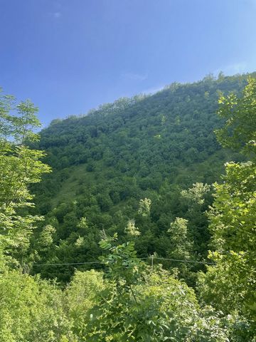 Serravalle di Chienti, we offer for sale agricultural land of over two hectares consisting of two plots, one is located about 2 km from the town and is of a wooded nature of 20,320 square meters, while the other is about 10 km away located on top of ...