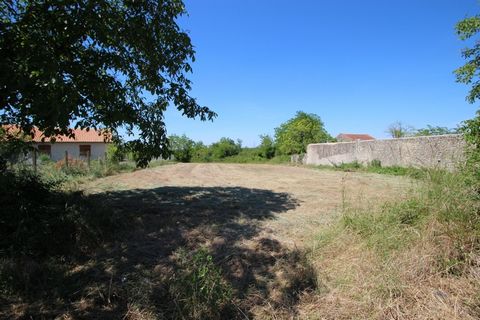 photo no. 1