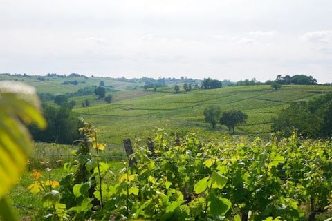 We are offering this turnkey vineyard property in the AOP Bordeaux, located at the edge of the Entre-Deux-Mers region. With a total area of 47 hectares, including 43 hectares of predominantly red grapevines, this estate, owned by the same family for ...