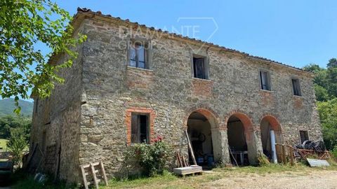 SUBBIANO (AR), Poggio D'Acona: 15 km from Arezzo, organic farm of about 14 hectares with restored farmhouse and annex, composed of: - 1.8 hectares approx. of vineyard of which 1 hectare Sangiovese quality, 4,000 sqm Cabernet and 4,000 sqm Malvasia an...