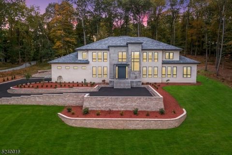 Nestled in prime Bernardsville, this newly built residence blends cutting-edge smart home technology with contemporary design, offering an unparalleled living experience that seamlessly integrates modern aesthetics and flawless perfection. Don't miss...