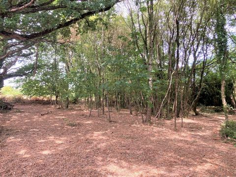 LE BONO, exclusivity! MOCQUARD real estate offers you this pretty wooded land of about 1200m2, located just 500m from shops. Sold bounded and not serviced. . The C.U issued by the municipality, specifies the obligation to create 2 dwellings. The CES ...