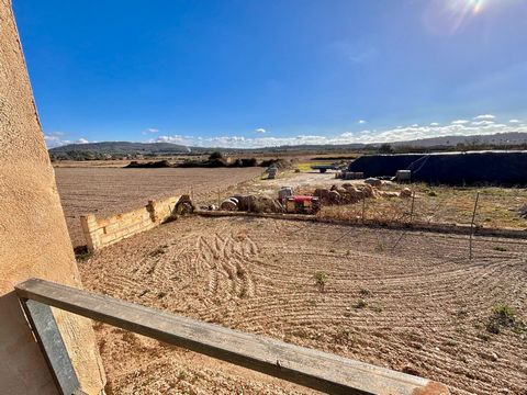 We present you this nice little house in the village of Sant Joan. In a URBAN plot of 1.152m2 of land, we have a house of 80m2 built in two levels. The ground floor consists of a living room with kitchen and fireplace, another living room and a compl...
