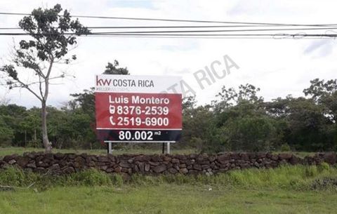 An excellent land to develop. Just 16 minutes from downtown Liberia, 40 minutes from Playas del Coco, 55 minutes from Four Seasons, 85 minutes from Playa Tamarindo and 90 minutes from Pinilla. Close to well known fishing tourist destinations in Costa...