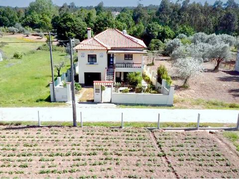 3 Bedroom Home near Mouronho Central portugal Discover this enchanting blend of traditional charm and modern convenience, nestled in the serene Portuguese countryside. This manor-style residence, fully renovated to impeccable standards, offers an exq...