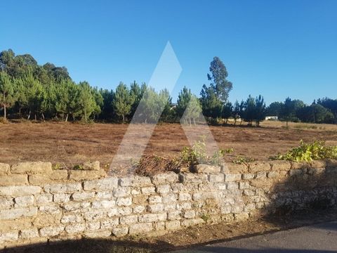 Excellent land with 9,000 m2 area, intended for urban construction, (one-family dwellings, motel, trade, etc.), very well located, near the Velodrome of Sangalhos, great sports and housing development. Contact for more information. REF. 22159/17LR