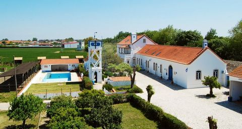 QUINTA DA MARCHANTA is a farm located in the parish of Valada, Municipality of Cartaxo, in the heart of Lezíria do Ribatejo, located a few meters from the Tagus River, 40 minutes north of Lisbon. Very charming and impeccably maintained by the current...