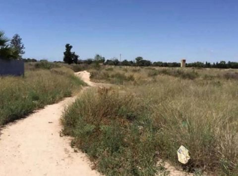 Ne manquez pas cette occasion unique d’acquérir ce terrain de 6 353 m² à Sant Joan d’Alacant, province d’Alicante ! Ce terrain, situé dans une zone privilégiée, offre une parcelle de forme irrégulière, d’environ 190 mètres de long et 33,30 mètres de ...