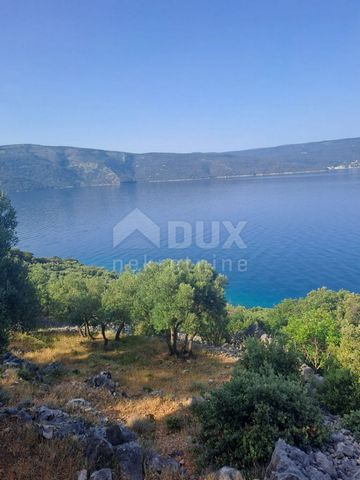 Location: Primorsko-goranska županija, Cres, Cres. CRES ISLAND - Olive grove, first row by the sea. Olive grove with 250 olive trees, first row by the sea on the island of Cres, for sale. It is located between the towns of Cres and Valun. There is al...