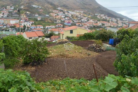 Located in Machico. Urban plot located in prime area of Machico behind the Health Centre with 430m2. Flat Fabulous view. Residential area. Building a home requires some thought. Some of the building procedures include ; • Obtaining and submitting all...
