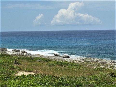 This twenty-acre parcel offers unforgettable views of the shoreline with dazzling sunrises and sunsets and cool tropical breezes. Lush natural landscaping and rolling hills facing the Atlantic Ocean gives an unbeatable feeling of freedom. With approx...