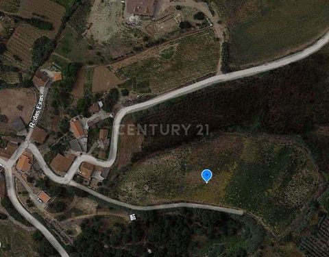 Explore this well-located plot, situated immediately adjacent to the urban center of the charming village of Toxofal de Cima, in Lourinhã. This plot, easily accessible via a public pathway, boasts an area of 11,160m². Highlighted Features: Unlimited ...