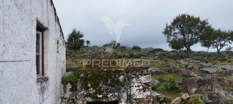 Farm located in the municipality of Marvão surrounded by extraordinary beauty. Excellent landscape setting. Old house to recover. High potential for any nature tourism project. With electricity, and with water from the public network next to the farm...