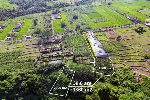 Exclusive Retreat Opportunity: Lush Views Freehold Land, Prime Location Price at IDR 205,000,000/are Total Price for 3,860 sqm : IDR 7,913,000,000. Tucked away in Gianyar – Kemenuh’s peaceful and scenic area, an expansive 3860 sqm plot awaits those k...