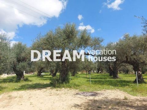 Description Mouzaki, Plot For Sale, 1.000 sq.m., Features: For development, Price: 65.000€. Πασχαλίδης Γιώργος Additional Information Plot of a surface of 1000 sqm in Mouzaki of Zakynthos with a beautiful view towards the surrounding green environmen...