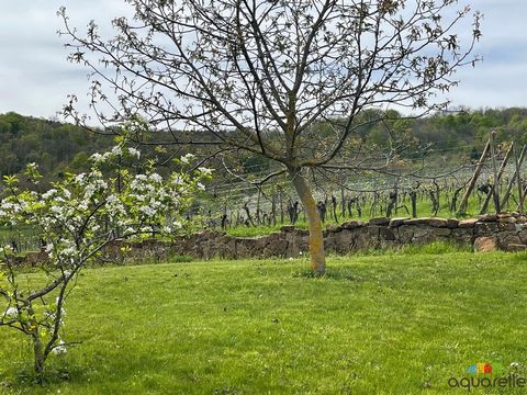 Heiligenstein, au pied du Saint Odile, est une commune viticole prisée sur le Pièmont des Vosges, en surplomb de la Vallée du Rhin. Dotée d'une architecture 'Signée année 30', le bâtiment en a les caractéristiques, pierre de taille et encadrement en ...