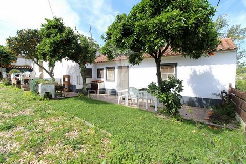 2 bedroom villa with outdoor space in Cercal do Alentejo. Comprising Suite, Living Room with fireplace, Kitchen, 2 Bedroom, W.C and Kitchen Room. Two minutes from the village of Cercal do Alentejo. The outdoor space has two parking spaces, storage ro...