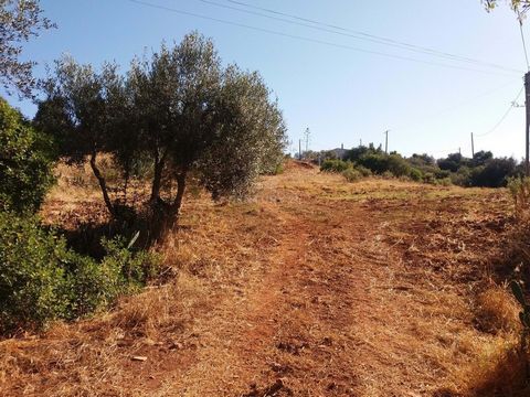 Mixed terrain, located in Monte Ruivo-Odiáxere, with ruin. Building viability up to 300 s.q.m. for housing or 500 s.q.m. for other purposes. Land suitable for cultivation. Quiet area, 5 km from a barrage, 10-minutes drive from the beaches and the cit...
