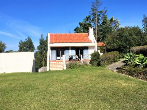 “Casa dos Pintos” is right on the doorstep of Lisbon (25 min/car) and so close to Sintra (15 min/car)! Surrounded by nature, it is the ideal place to enjoy the countryside, close to the city. Get lost on the countless trails and venture into our “enc...