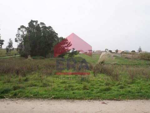 Rustikales Grundstück von 2840 m² in Casais de Mestre Mendo, Peniche. 5 Kilometer vom Strand Baleal und 6 Kilometer vom preisgekrönten Golfplatz Praia d´El Rey entfernt. Hervorragende Anbindung an die Schnellstraße IP6 und die Autobahn A8 und 1 Stund...