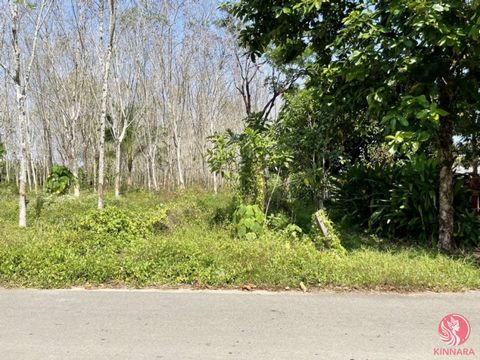 342 Quadratmeter Land stehen in der Nähe des Natai Beach in Khok Kloi, Phang Nga, neben einer öffentlichen Straße, ca. 7 Meter breit und 22 Meter lang, ca. 1 Kilometer vom Natai Beach entfernt, einem Sandstrand, der noch ruhig ist. Das Grundstück bef...