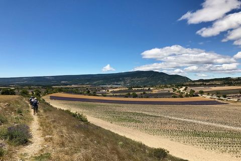 Bienvenido a Résidence Château Ferrassières, un tranquilo refugio enclavado en el corazón de la región de Drôme – Provenza. Con 21 apartamentos exclusivos, esta residencia ofrece la combinación perfecta de belleza natural y lujo, lo que le permite re...