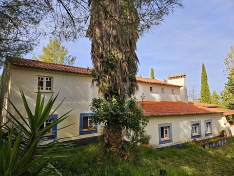 Monte Alentejano with a 10-bedroom villa for sale in Montemor-o-Novo, overlooking the historic city centre and the medieval castle, located around 60 minutes from Lisbon. In this 18,250m2 property, where nature and comfort meet, a charming dirt track...