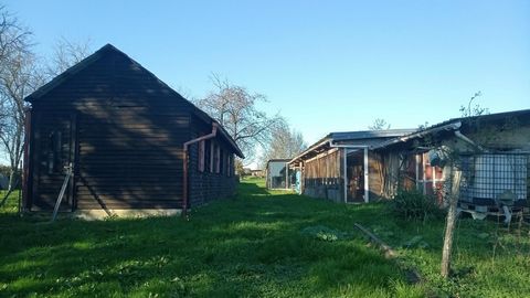 photo no. 15