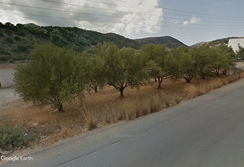 Located in Agios Nikolaos. Buildable olive grove of 836 m2, nicely positioned inside the village planning zone of Xerokampos, Agios Nikolaos, Crete, just 1.5 km from the town center of Agios Nikolaos. It has the planning permission (allowance) for a ...